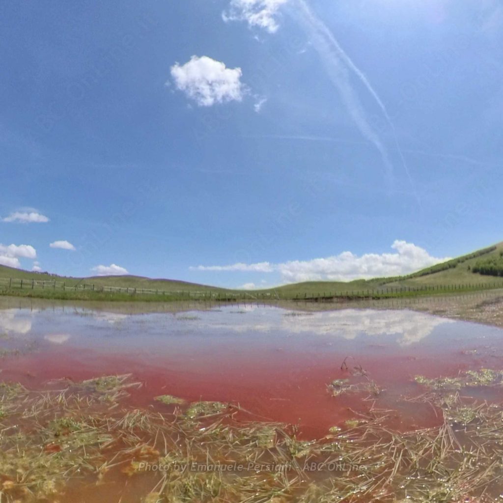pantani di accumoli alga tinge di rosso i laghetti nel periodo di maggio luglio